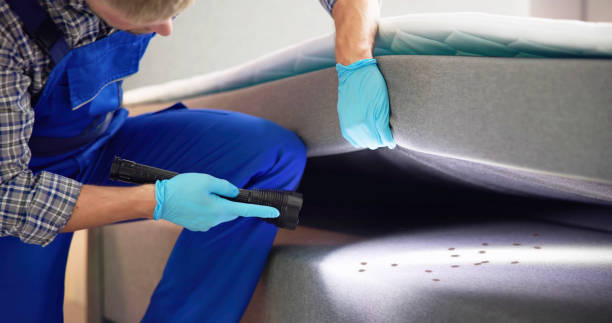 Best Best Pest Control Companies  in Imperial, CA