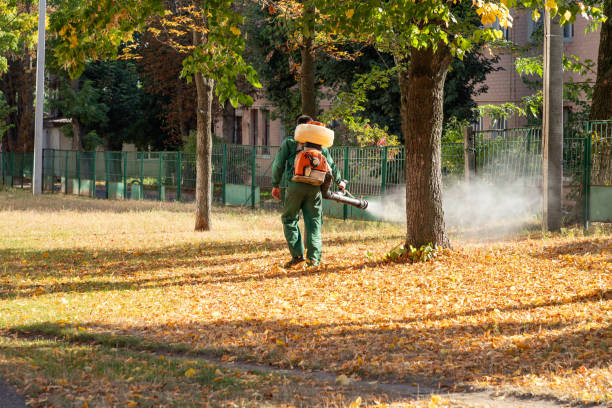 Imperial, CA Pest Control Company