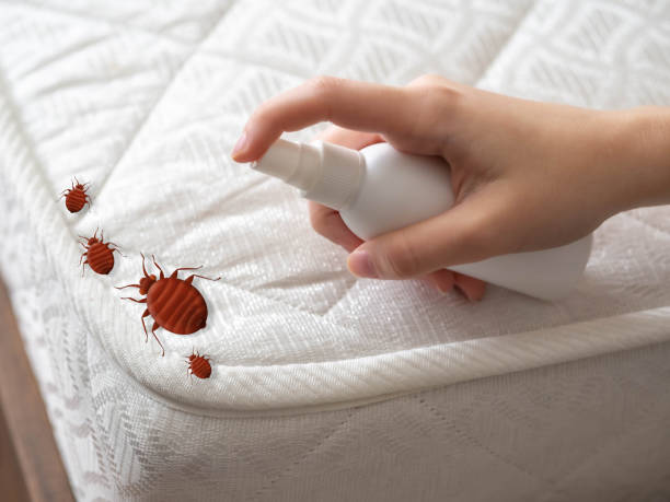 Best Pest Control for Businesses  in Imperial, CA