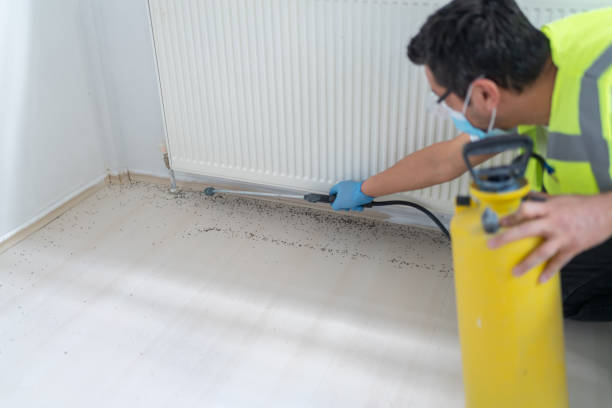 Best Rat Extermination Near Me  in Imperial, CA