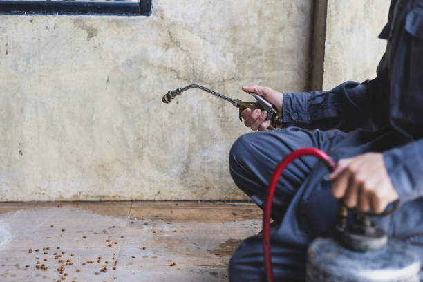 Best Pest Prevention Services  in Imperial, CA
