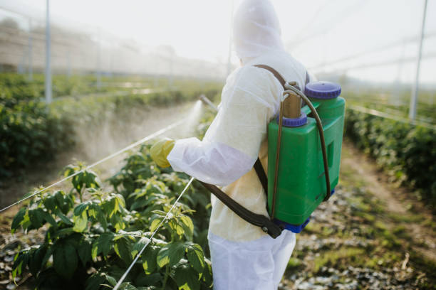 Best Pest Removal Services  in Imperial, CA